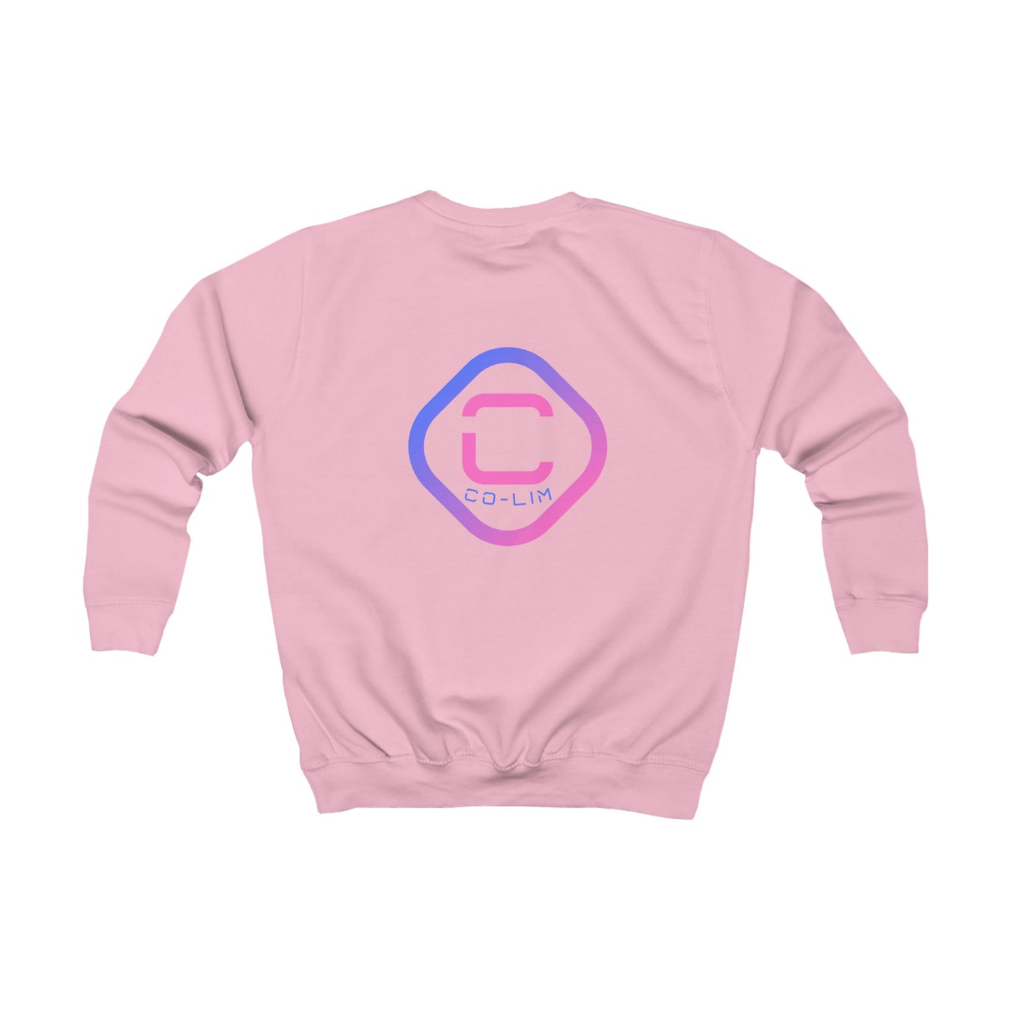 Kids Sweatshirt - Magical Pegasus Design