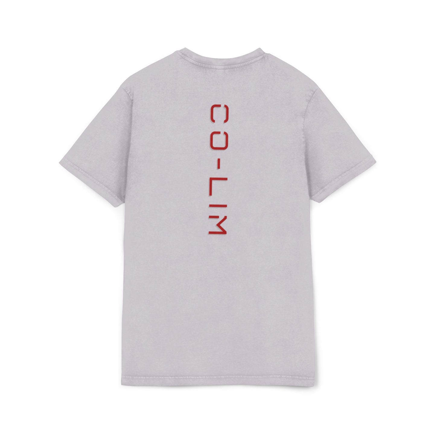 Anime Acid Washed Tee