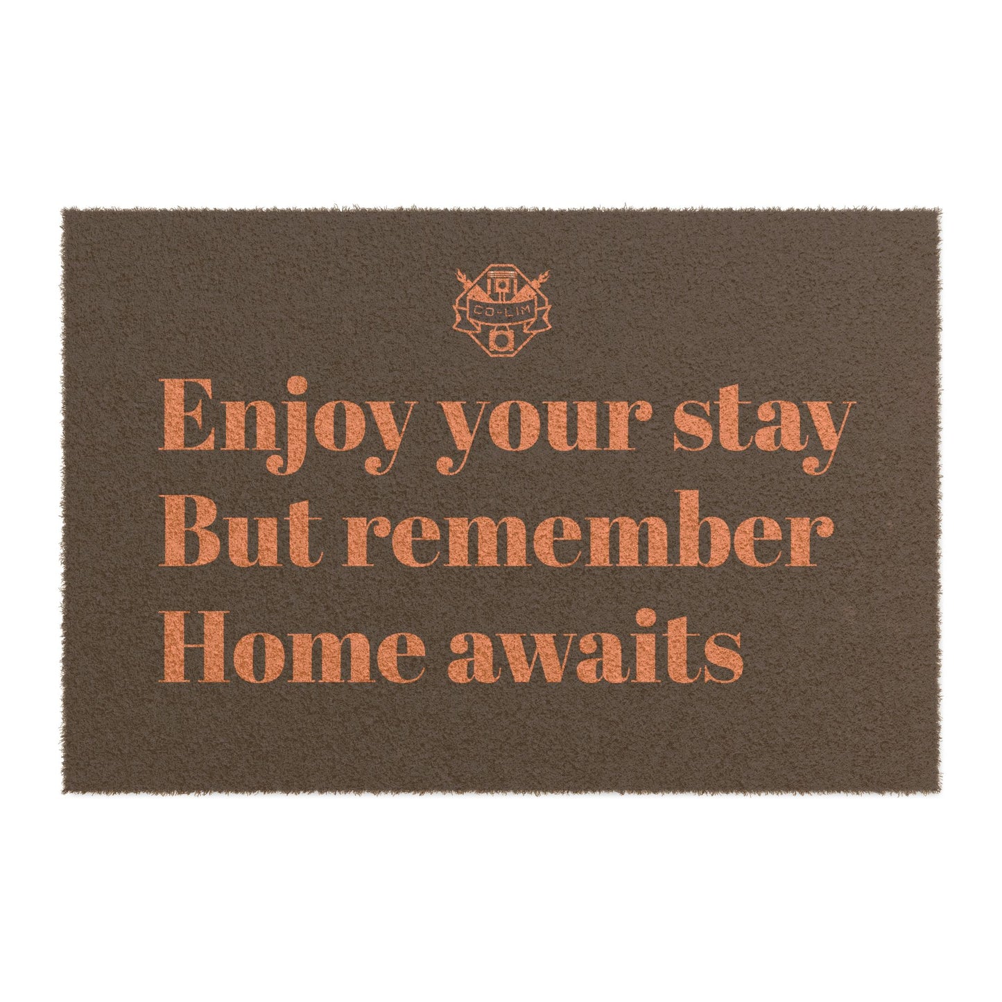 Doormat Funny Home Decoration