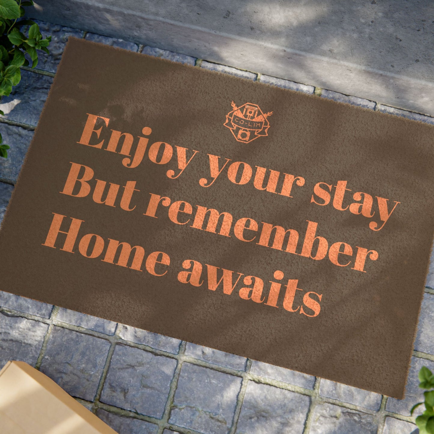 Doormat Funny Home Decoration